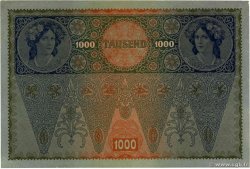 1000 Kronen AUTRICHE 1919 P.061 SPL+