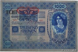 1000 Kronen AUTRICHE 1919 P.058