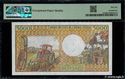 5000 Francs type 1984 ZENTRALAFRIKANISCHE REPUBLIK 1991 A.191b ST