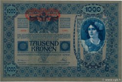 1000 Kronen AUTRICHE 1919 P.057a