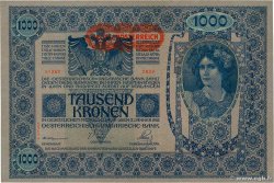 1000 Kronen AUTRICHE 1919 P.061
