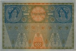 1000 Kronen AUTRICHE 1919 P.061 NEUF