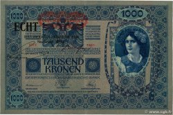 1000 Kronen AUTRICHE 1919 P.058