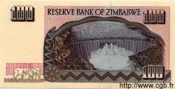 100 Dollars ZIMBABWE  1995 P.09 NEUF
