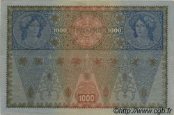 1000 Kronen AUTRICHE  1919 P.060 TTB