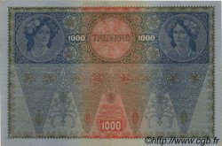 1000 Kronen AUSTRIA  1919 P.060 XF