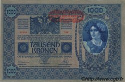 1000 Kronen AUTRICHE 1919 P.060