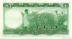 1 Pound MALAWI  1964 P.03 SPL+