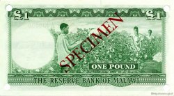 1 Pound Spécimen MALAWI  1964 P.03s NEUF