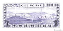 1 Pound ÎLE DE MAN  1972 P.29a ST