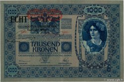 1000 Kronen AUTRICHE 1919 P.058
