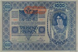 1000 Kronen AUTRICHE 1919 P.061