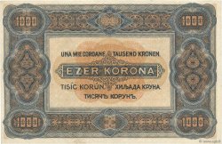 1000 Korona UNGARN  1920 P.066a fVZ