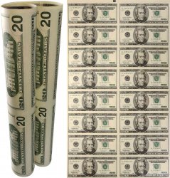 20 Dollars Planche ÉTATS-UNIS D AMÉRIQUE San Francisco 1996 P.501*
