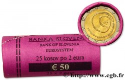 SLOWENIEN Rouleau 25 x 2 Euro GROTTE DE POSTOJNA 2013 
