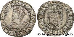 TOWN OF BESANCON - COINAGE STRUCK IN THE NAME OF CHARLES V Carolus