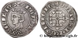PROVENCE - COMTÉ DE PROVENCE - ROBERT D ANJOU Carlin d argent, gillat ou robert