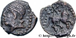 CARNUTES (Région de la Beauce) Bronze au cheval et au sanglier