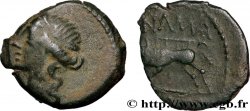 NEMAUSUS - NÎMES Bronze au sanglier NAMA SAT