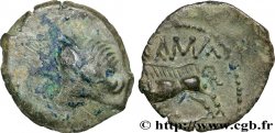 NEMAUSUS - NÎMES Bronze au sanglier NAMA SAT