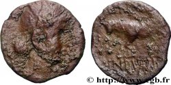 GALLIA BELGICA - REMI (Area of Reims) Bronze GERMANVS INDVTILLI au taureau (Quadrans)