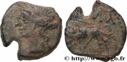 NEMAUSUS - NÎMES Bronze au sanglier NAMA SAT