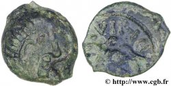 GALLIA - BELGICA - PAGUS CATUSLUGI - Santuario di BOIS L ABBÉ (Seine-Maritime) Bronze VIIRICIVS, classe IV