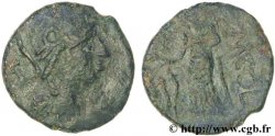 NEMAUSUS - NISMA Bronze NEM COL (semis)