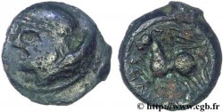 GALLIA BELGICA - SUESSIONES (Regione de Soissons) Bronze CRICIRV