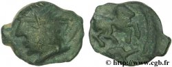 CARNUTES (Région de la Beauce) Bronze au cheval et au sanglier