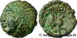 GALLIA BELGICA - MELDI (Regione di Meaux) Bronze ROVECA, classe IIIb