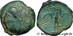 CARNUTES (Région de la Beauce) Bronze à l’aigle