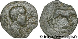 CAVARII (Region die Avignon und Orange) Bronze au taureau T.POM / SEX.F
