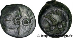 GALLIA - BELGICA - PAGUS CATUSLUGI - Santuario di BOIS L ABBÉ (Seine-Maritime) Bronze VIIRICIVS, classe IV