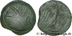GALLIA - CARNUTES (Región de la Beauce) Bronze lourd à l’aigle et au croissant