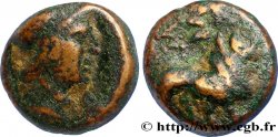 MASSALIEN - MARSEILLES Petit bronze au lion