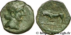 GALLIA BELGICA - REMI (Regione di Reims) Bronze GERMANVS INDVTILLI au taureau (Quadrans)