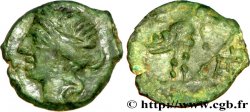 NEMAUSUS - NÎMES Bronze au sanglier NAMA SAT