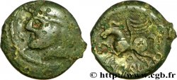 GALLIA BELGICA - SUESSIONES (Región de Soissons) Bronze CRICIRV, barbu