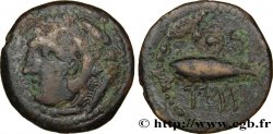 HISPANIA - GADIR/GADES (Provincia of Cadiz) Calque de bronze à la tête de Melqart et au thon