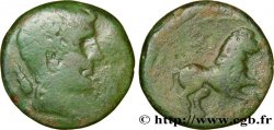 GALLIA - SOUTH WESTERN GAUL - LONGOSTALETES (Area of Narbonne) Bronze au lion