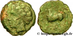ARVERNES (Région de Clermont-Ferrand) Bronze ROAC, DT. 3716 et 2613