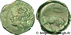 MASSALIA - MARSEILLE Bronze lourd au taureau (hémilitron), (MB, Æ 24)