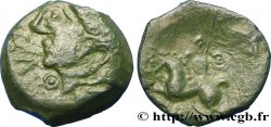 GALLIA BELGICA - MELDI (Area of Meaux) Bronze ROVECA, classe IIIa