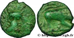 GALLIA BELGICA - ATREBATES (Regione di Arras) Bronze CAITIO/AMANDI