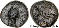 MASSALIEN - MARSEILLES Petit bronze au dauphin, tête à droite