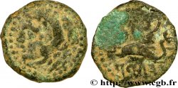 HISPANIA - GADIR/GADES (Provincia of Cadiz) Quadrans de bronze à la tête de Melqart et au dauphin
