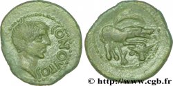GALLIA - SANTONES / CENTROOESTE - Inciertas Bronze CONTOVTOS (quadrans)