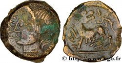 GALLIA - CARNUTES (Regione della Beauce) Bronze PIXTILOS classe II à la louve et au lézard