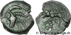 CARNUTES (Région de la Beauce) Bronze au loup, tête à gauche